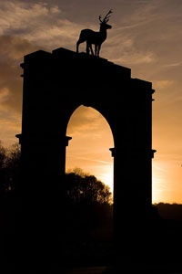 Charborough Stag Gate